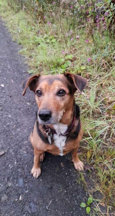 Fotochallenge Nr. 56 - geliebte Senioren-Beitrag-Bild