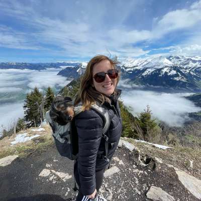 Hundetreffen-Gassirunde am Eselsberg