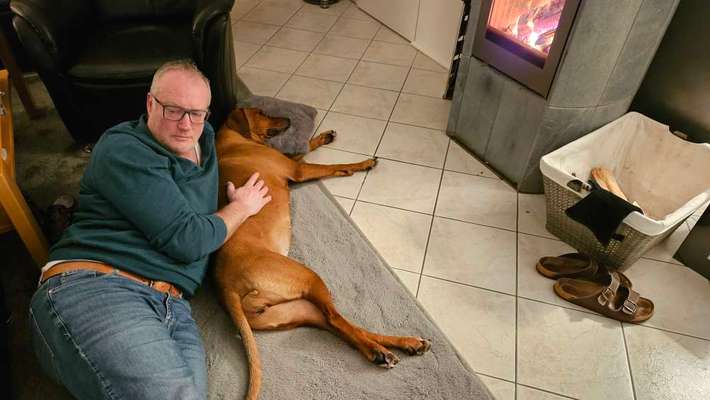 Rhodesian Ridgeback-Beitrag-Bild