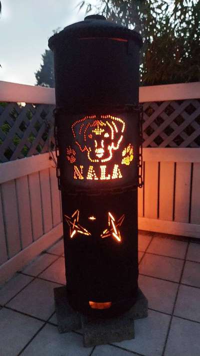 Rhodesian Ridgeback-Beitrag-Bild