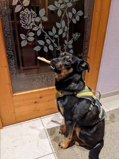 Fotochallenge Nr. 64-Beitrag-Bild