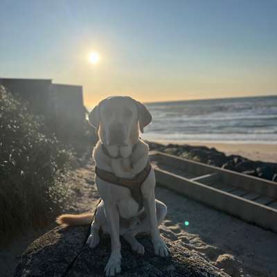 Auto ohne Klimaanlage-Beitrag-Bild