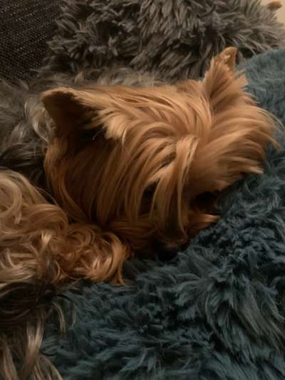 Fotochallange - Eingekugelt-Beitrag-Bild