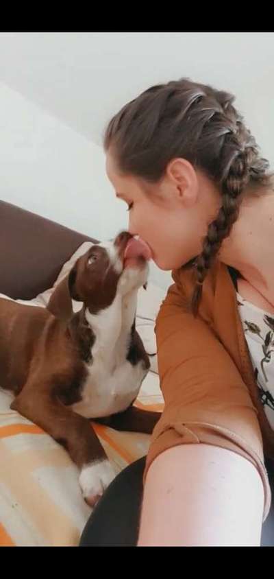 Euer schönstes Bild mit eurem Hund gemeinsam!-Beitrag-Bild