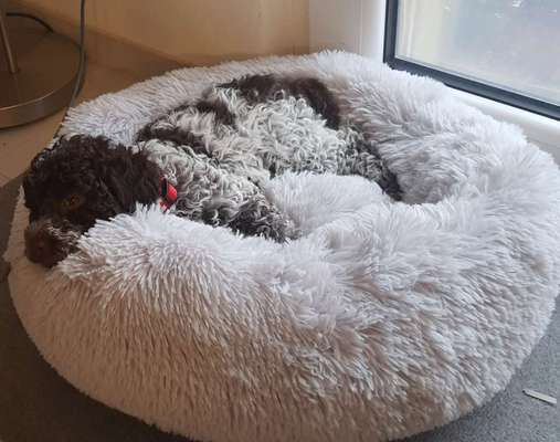 Erfahrung mit Wolkenbett-Beitrag-Bild