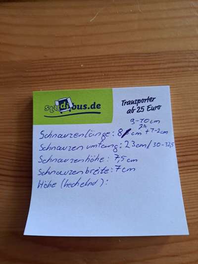 Wie sitzt mein Maulkorb / Maulkorb-Beratung-Beitrag-Bild