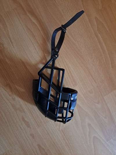 Wie sitzt mein Maulkorb / Maulkorb-Beratung-Beitrag-Bild