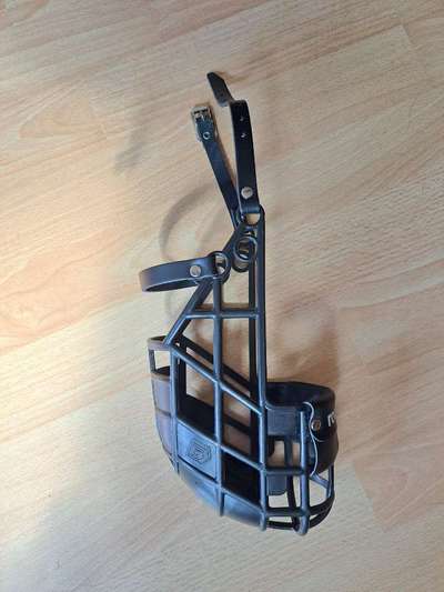 Wie sitzt mein Maulkorb / Maulkorb-Beratung-Beitrag-Bild