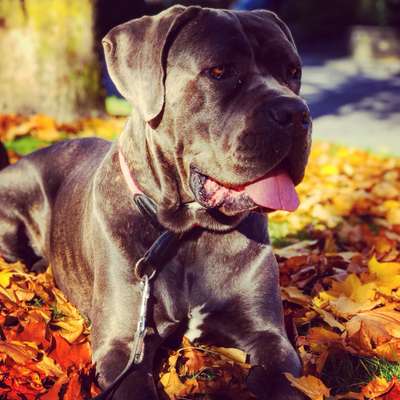 Warum muss es denn unbedingt der sein?-Beitrag-Bild