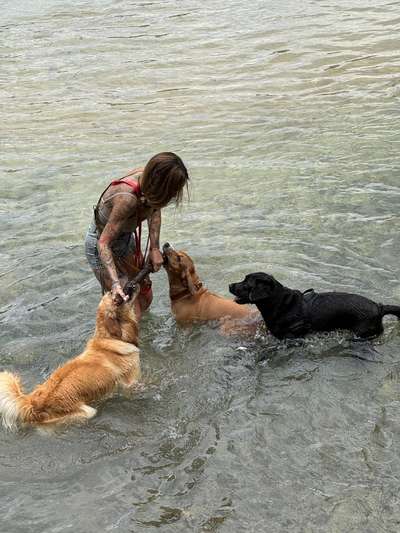 Übertriebene Fürsorge?-Beitrag-Bild