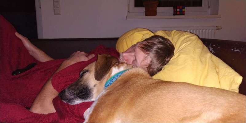 Gemeinsames Kuscheln im Bett!-Beitrag-Bild