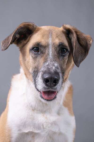 Fotochallange Nr. 57     PORTRÄT.   Beendet!!!!!!!!-Beitrag-Bild