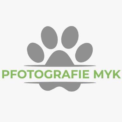 Tierfotografen-Pfotografie MYK-Bild