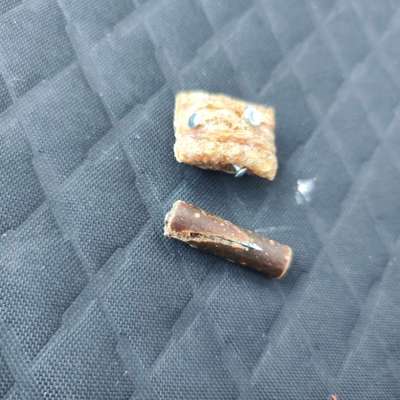 Giftköder-Leckerlis mit Nägeln-Bild