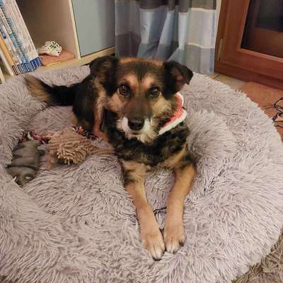 Christina's Profilbild