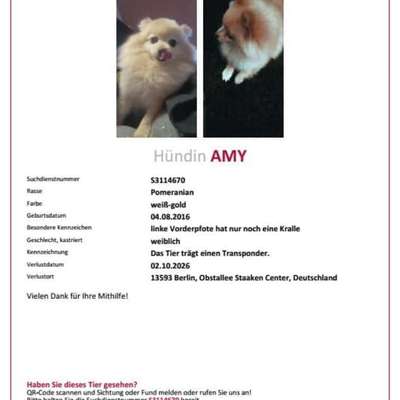 Suchmeldung-Amy-Bild