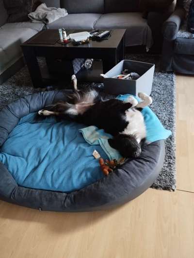 Fotochallange - Eingekugelt-Beitrag-Bild