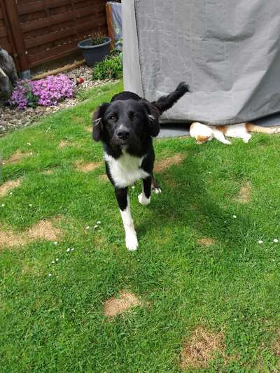 154. FotoChallenge * AUFS BILD GEMOGELT *-Beitrag-Bild