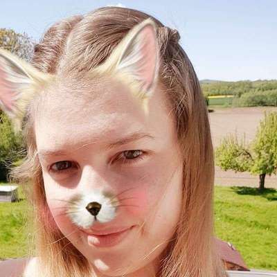 Hundetreffen-Hundegruppe