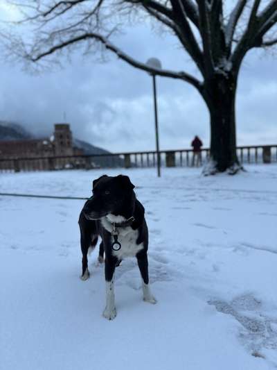 Ist das ein...?-Beitrag-Bild