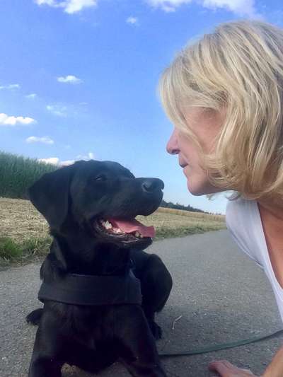 Dogorama Photo Challenge - Einmal lächeln bitte-Beitrag-Bild