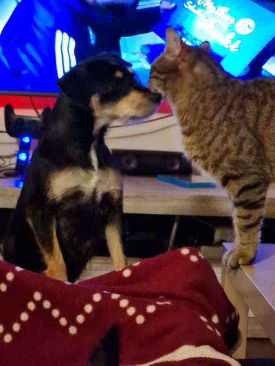 Challenge 30  Freundschaft-Beitrag-Bild