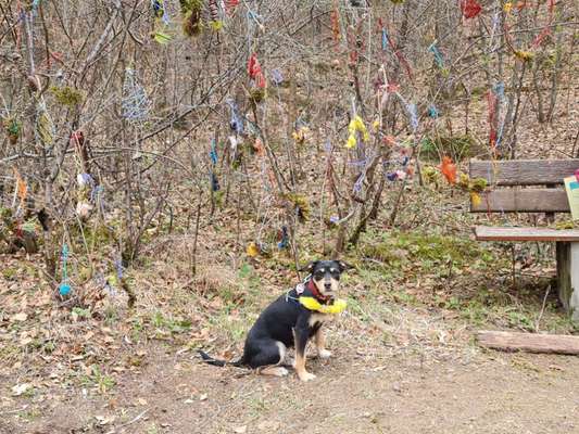 Lieblingsbild :D-Beitrag-Bild