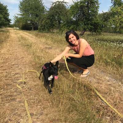 Hundetreffen-Gassi Treff Fellbach