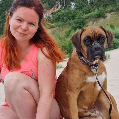 Hundetreffen-Spiel-oder Gassirunde-Profilbild