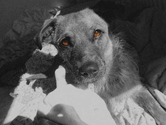 6. Farben Foto Challenge: "ColourKey Effekt"-Beitrag-Bild