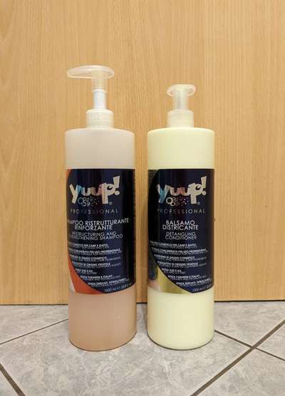 Alles rund um den Pudel-Beitrag-Bild