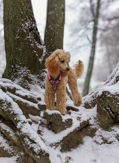 Fotochallenge Nr. 67: Euer Lieblingsbild-Beitrag-Bild