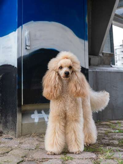 Welche Sätze hört ihr oft?-Beitrag-Bild