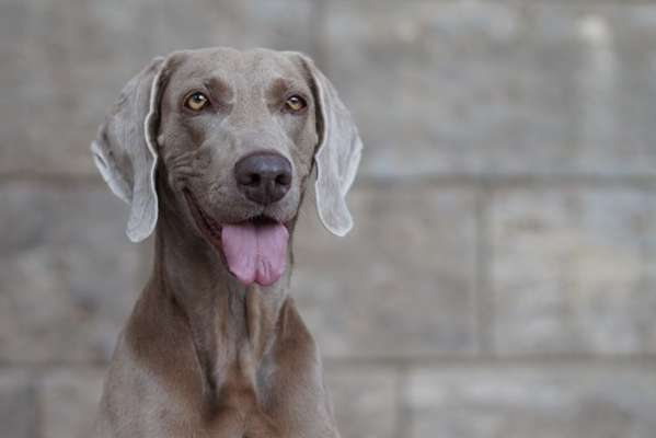 Ton in Ton-Beitrag-Bild