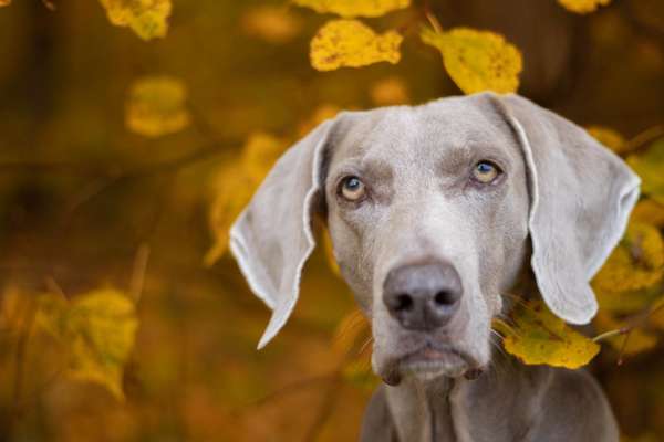 Austausch zur Fotografie-Beitrag-Bild
