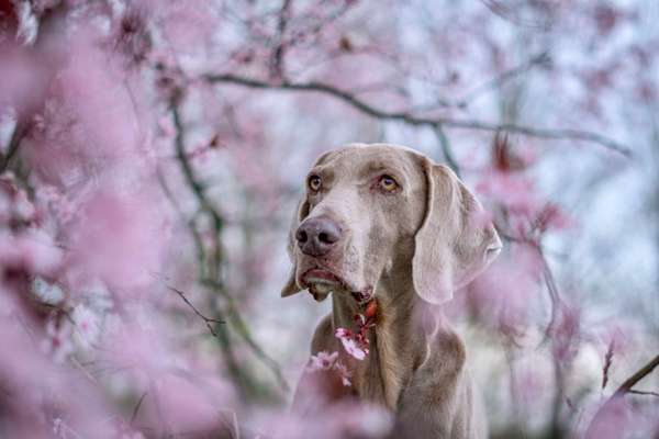Austausch zur Fotografie-Beitrag-Bild