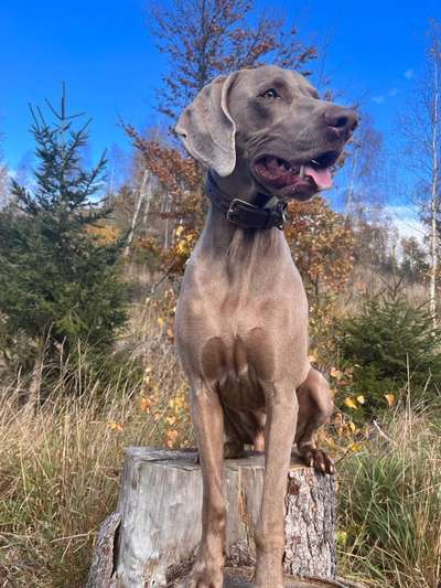 Austausch zur Fotografie-Beitrag-Bild
