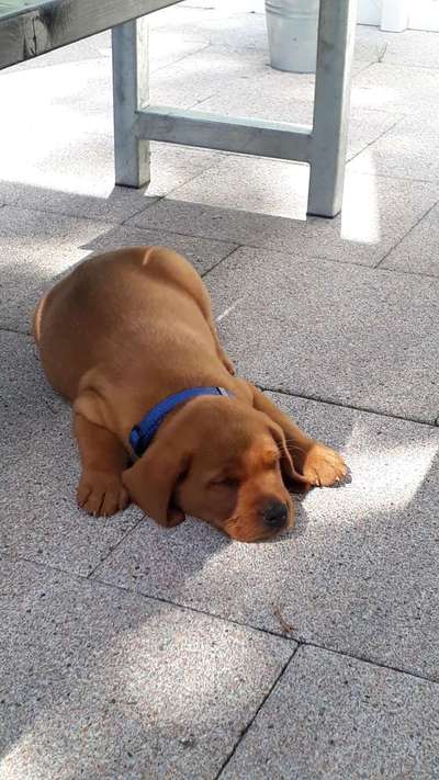 Unser Nachwuchs-Beitrag-Bild