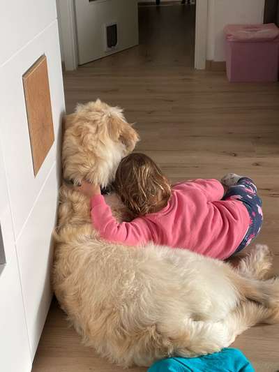 18. Handy - Foto - Challenge-Beitrag-Bild