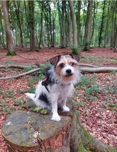 Fotochallenge Nr. 56 - geliebte Senioren-Beitrag-Bild