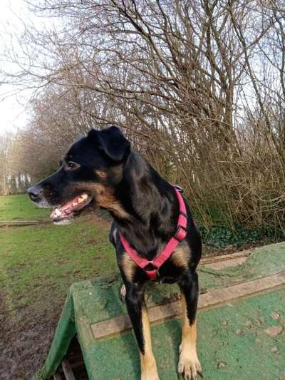 Fotowettbewerb Natur-Beitrag-Bild