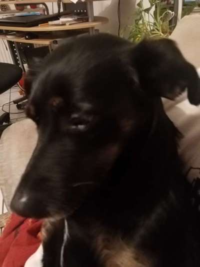 Gemeinsames Kuscheln im Bett!-Beitrag-Bild