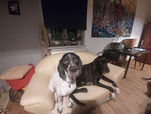 Freddys Kummerkasten-Beitrag-Bild