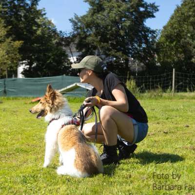 Hundetreffen-Gemütliche Gassirunde evtl. mit gemeinsamer spielstunde zum Schluss :)