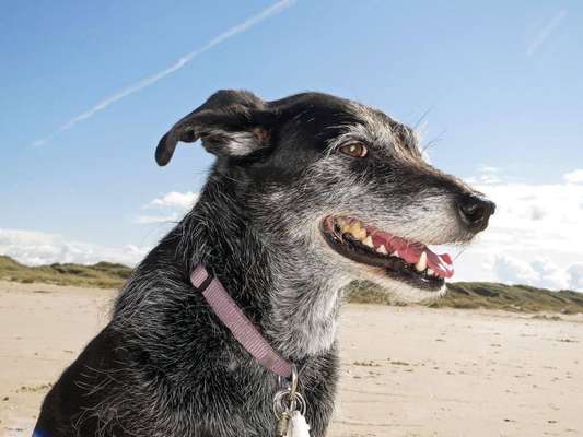 Urlaub Dänemark-Beitrag-Bild