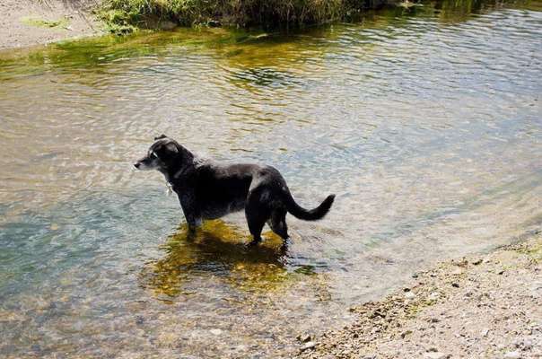 Urlaub Dänemark-Beitrag-Bild