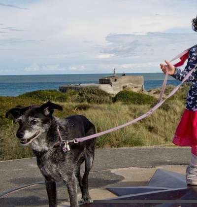 Urlaub Dänemark-Beitrag-Bild