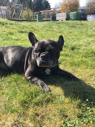 Fotochallenge Nr. 56 - geliebte Senioren-Beitrag-Bild