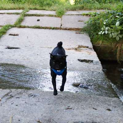 Fotochallenge Nr. 52 „Spring!“-Beitrag-Bild