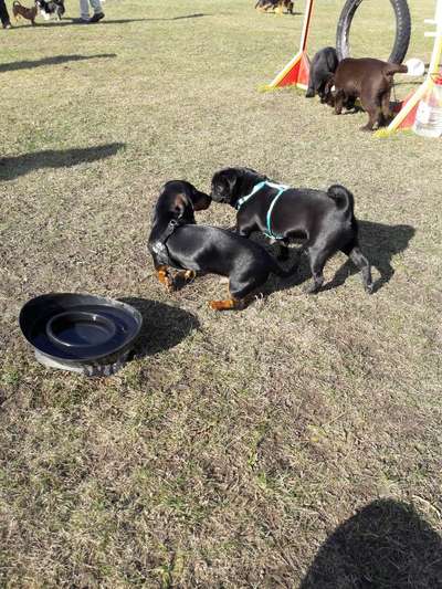 Fotochallenge liebespaare-Beitrag-Bild